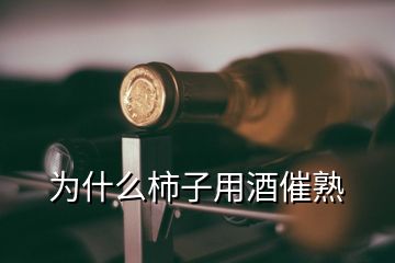 為什么柿子用酒催熟