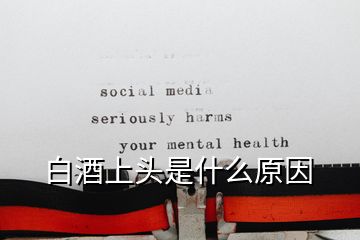 白酒上頭是什么原因