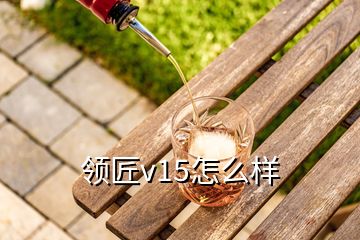 領(lǐng)匠v15怎么樣