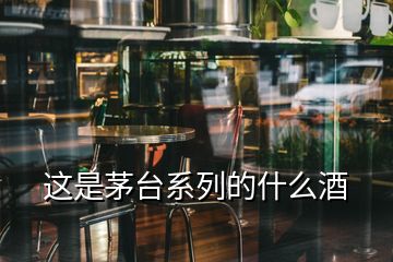 這是茅臺(tái)系列的什么酒