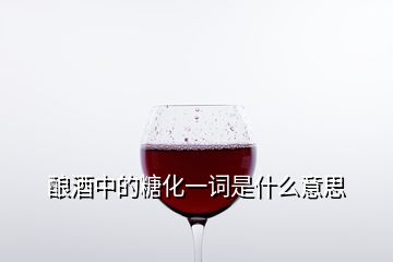 釀酒中的糖化一詞是什么意思