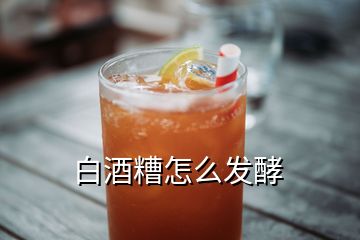 白酒糟怎么發(fā)酵