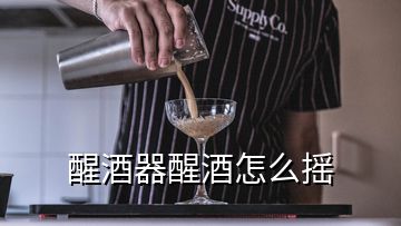 醒酒器醒酒怎么搖