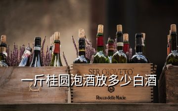 一斤桂圓泡酒放多少白酒