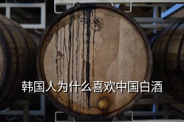 韓國人為什么喜歡中國白酒