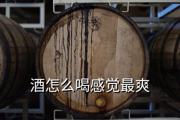 酒怎么喝感覺最爽