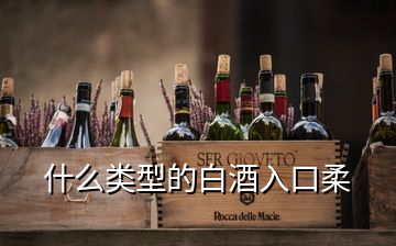 什么類(lèi)型的白酒入口柔