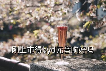 剛上市得byd元音響好嗎