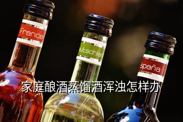 家庭釀酒蒸餾酒渾濁怎樣辦