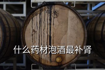 什么藥材泡酒最補(bǔ)腎