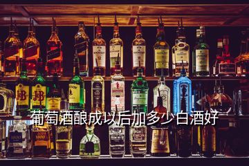 葡萄酒釀成以后加多少白酒好