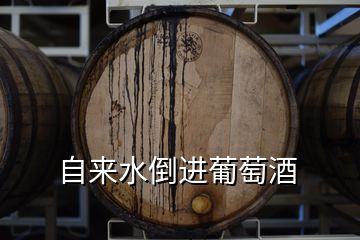 自來水倒進(jìn)葡萄酒