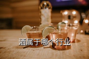 酒屬于哪個(gè)行業(yè)