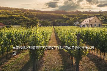 自家做糯米甜酒兩三天后釀好了糯米變成黃色的是什么原因