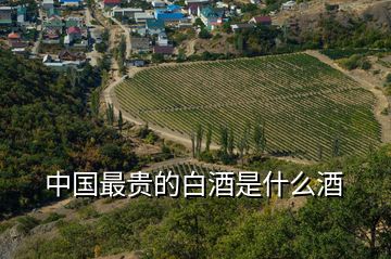 中國(guó)最貴的白酒是什么酒