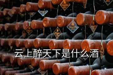 云上醉天下是什么酒