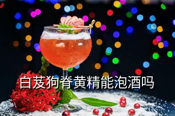 白芨狗脊黃精能泡酒嗎