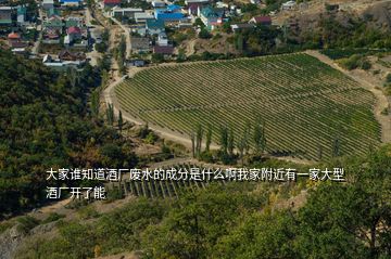 大家誰(shuí)知道酒廠廢水的成分是什么啊我家附近有一家大型酒廠開了能