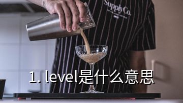 1. level是什么意思