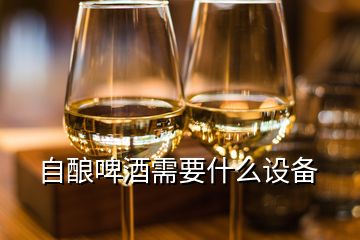 自釀啤酒需要什么設(shè)備