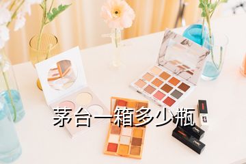 茅臺(tái)一箱多少瓶