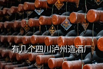 有幾個(gè)四川瀘州造酒廠