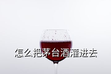 怎么把茅臺酒灌進(jìn)去