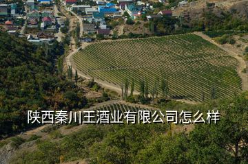 陜西秦川王酒業(yè)有限公司怎么樣