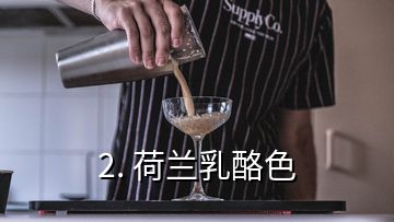 2. 荷蘭乳酪色