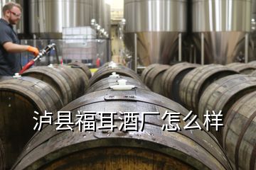 瀘縣福耳酒廠怎么樣