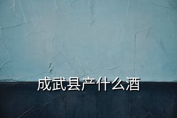 成武縣產(chǎn)什么酒