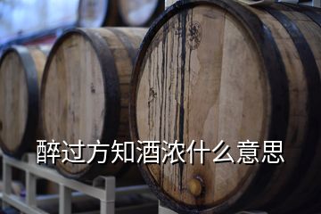 醉過方知酒濃什么意思