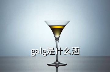 galg是什么酒