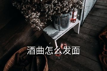 酒曲怎么發(fā)面