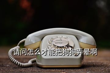 請(qǐng)問(wèn)怎么才能把狗狗弄暈啊