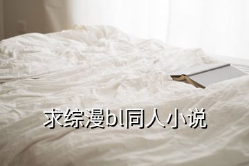 求綜漫bl同人小說(shuō)