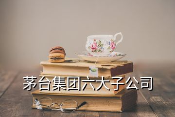 茅臺集團(tuán)六大子公司