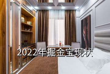 2022年掘金寶現(xiàn)狀