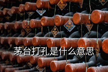 茅臺(tái)打孔是什么意思