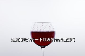 誰(shuí)能跟我介紹一下飲魂情合緣白酒嗎