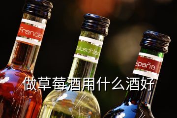 做草莓酒用什么酒好