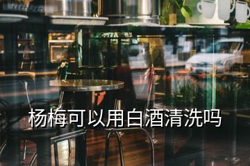 楊梅可以用白酒清洗嗎