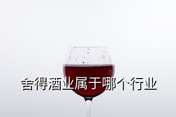 舍得酒業(yè)屬于哪個行業(yè)