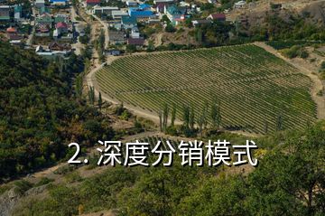 2. 深度分銷模式