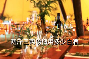 兩斤三兩楊梅用多少白酒