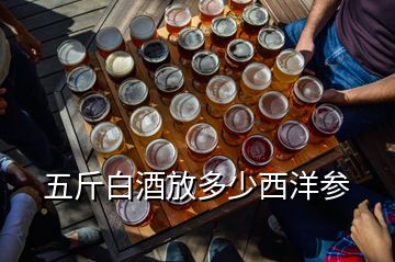 五斤白酒放多少西洋參