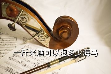 一斤米酒可以泡多少海馬