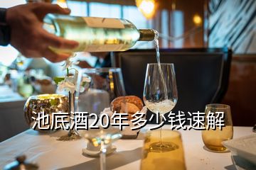 池底酒20年多少錢(qián)速解