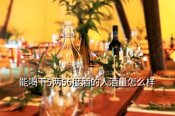 能喝下5兩56度酒的人酒量怎么樣