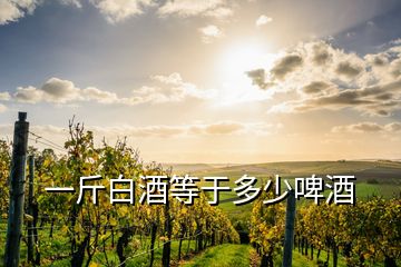 一斤白酒等于多少啤酒